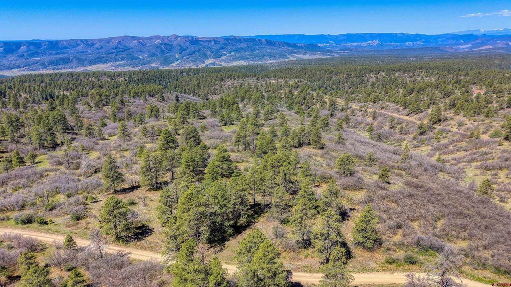 3367 Ranchland Drive Pagosa Springs CO 81147