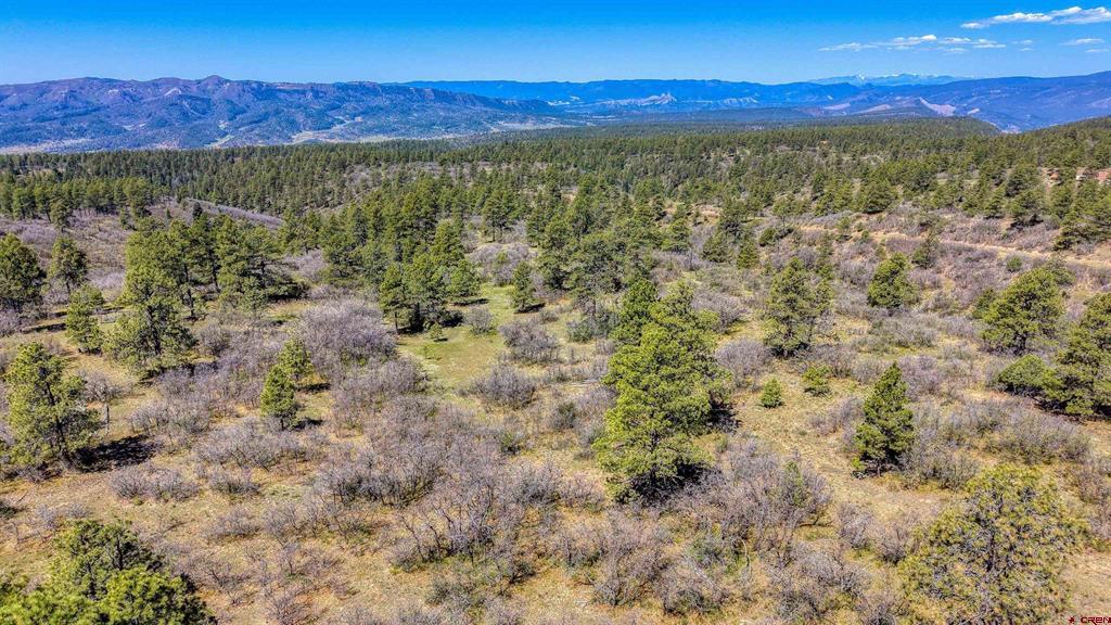 3367 Ranchland Drive Pagosa Springs CO 81147