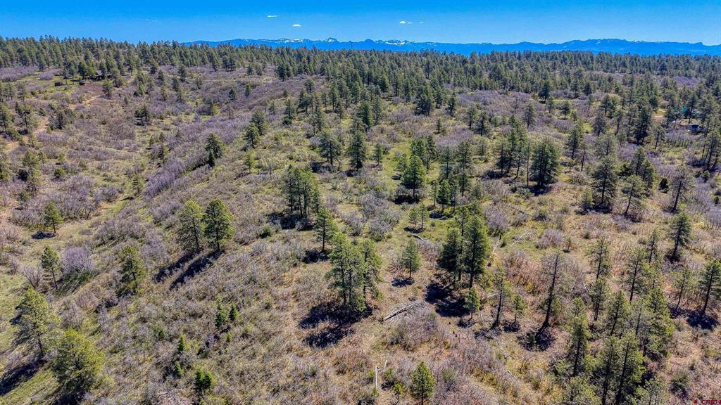 3367 Ranchland Drive Pagosa Springs CO 81147