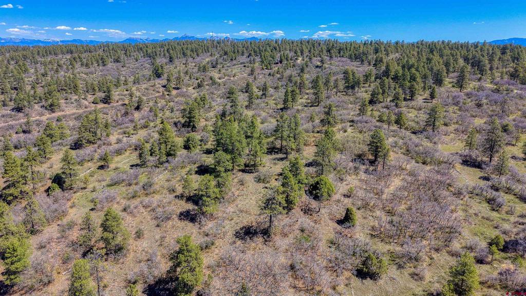 3367 Ranchland Drive Pagosa Springs CO 81147