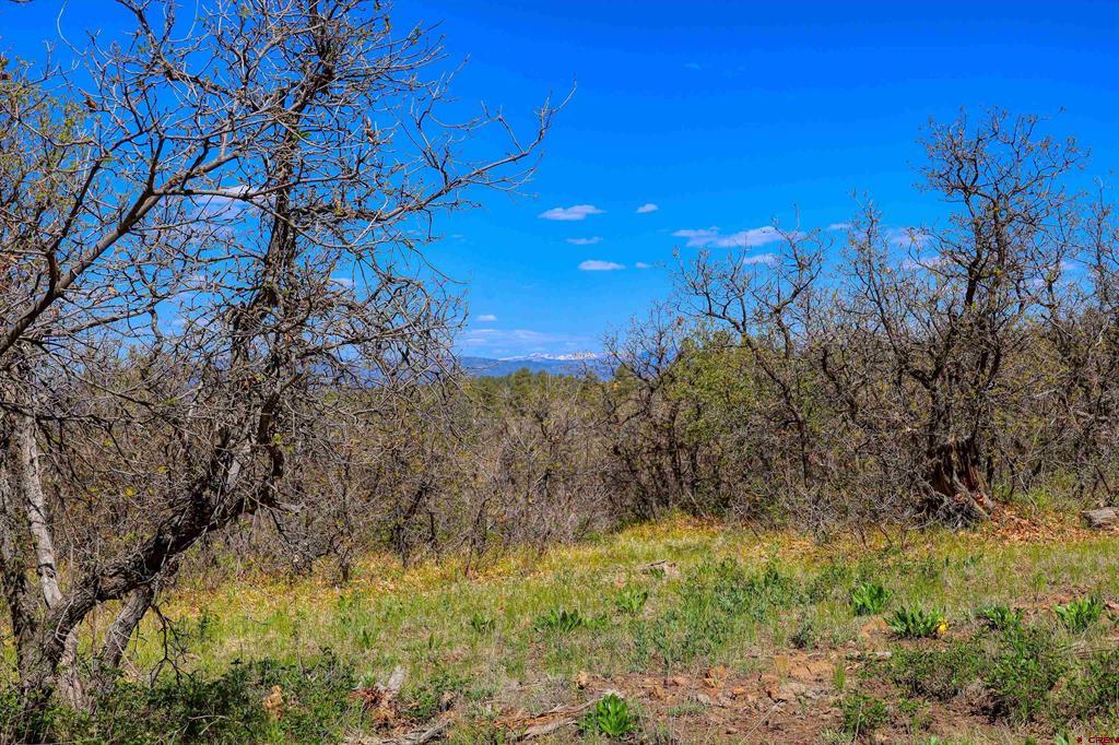 3367 Ranchland Drive Pagosa Springs CO 81147