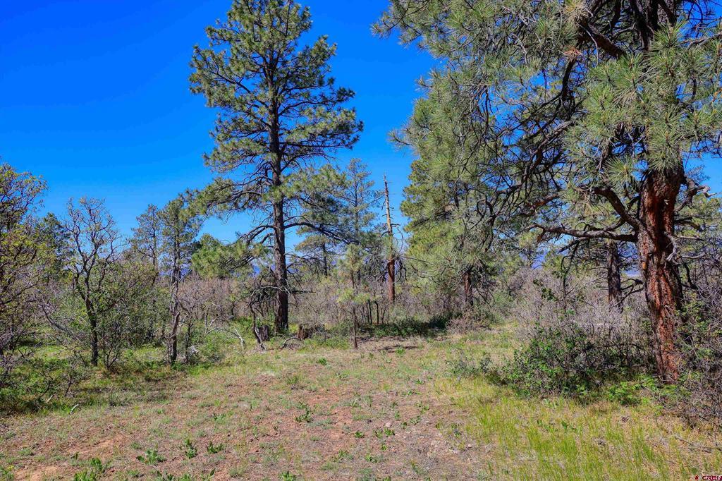 3367 Ranchland Drive Pagosa Springs CO 81147