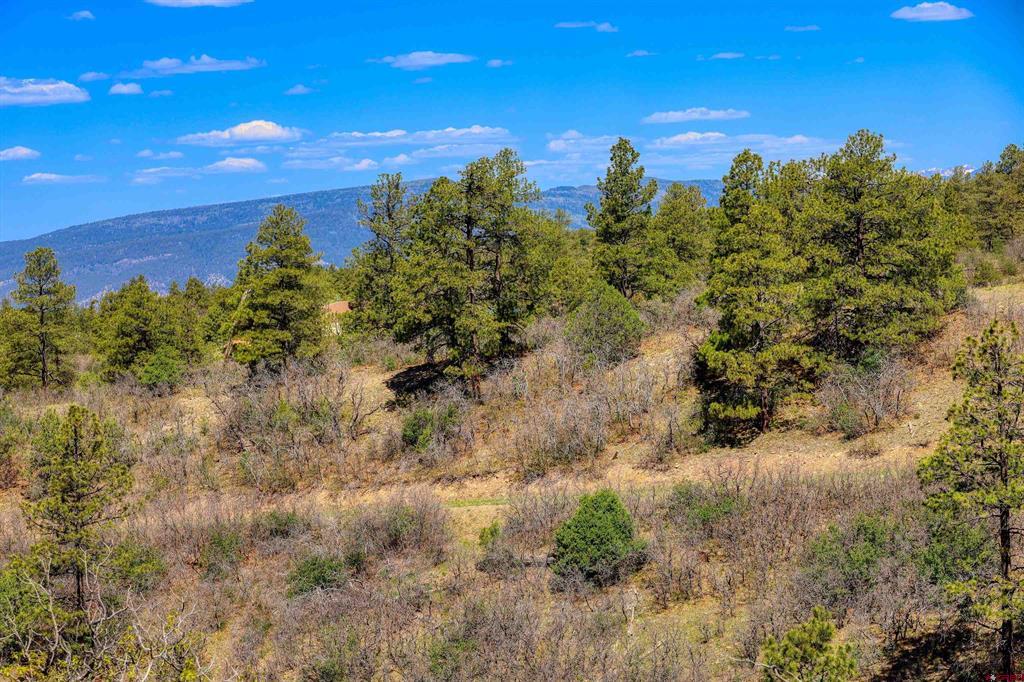 3367 Ranchland Drive Pagosa Springs CO 81147