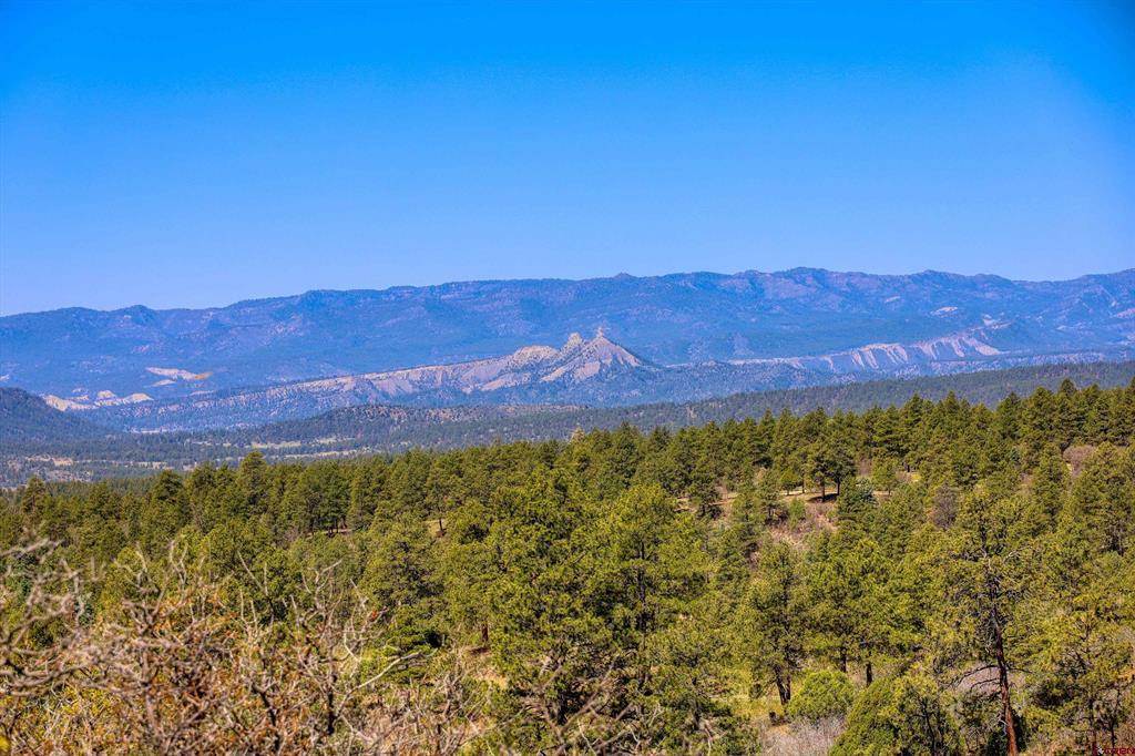 3367 Ranchland Drive Pagosa Springs CO 81147