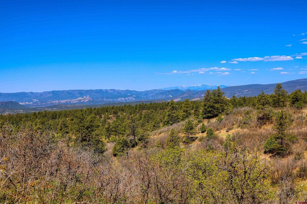 3367 Ranchland Drive Pagosa Springs CO 81147