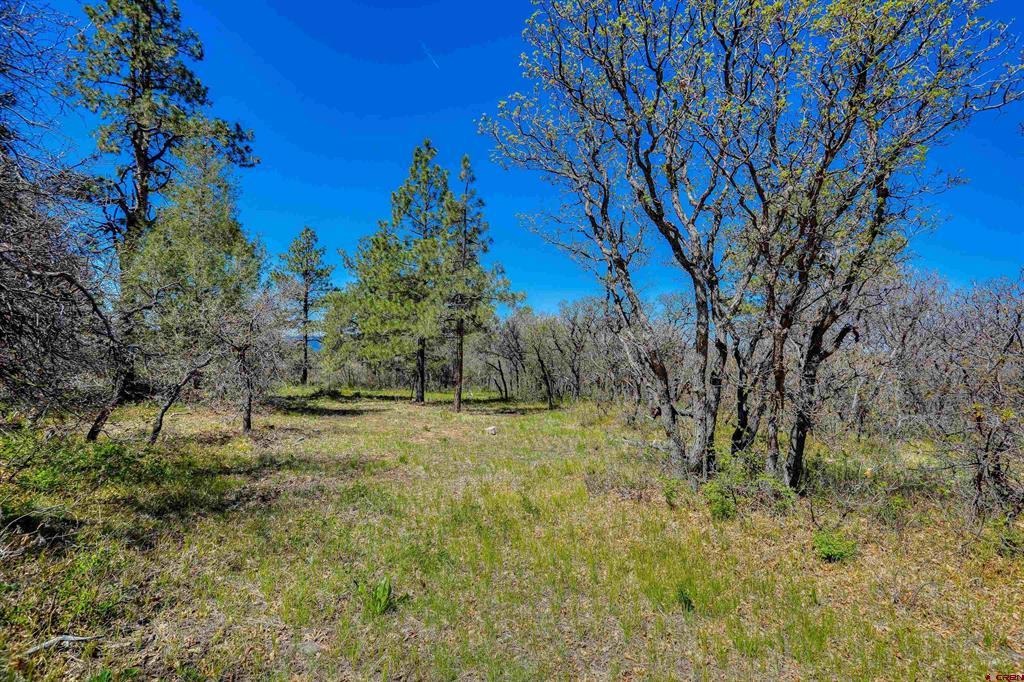 3367 Ranchland Drive Pagosa Springs CO 81147