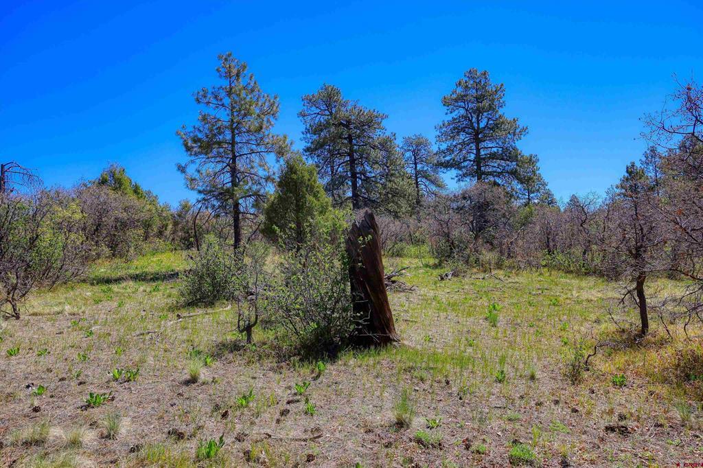 3367 Ranchland Drive Pagosa Springs CO 81147