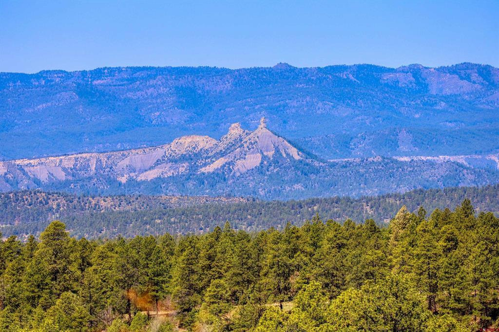 3367 Ranchland Drive Pagosa Springs CO 81147