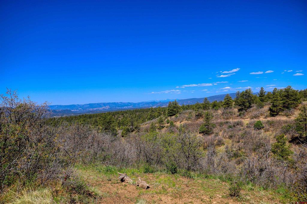 3367 Ranchland Drive Pagosa Springs CO 81147