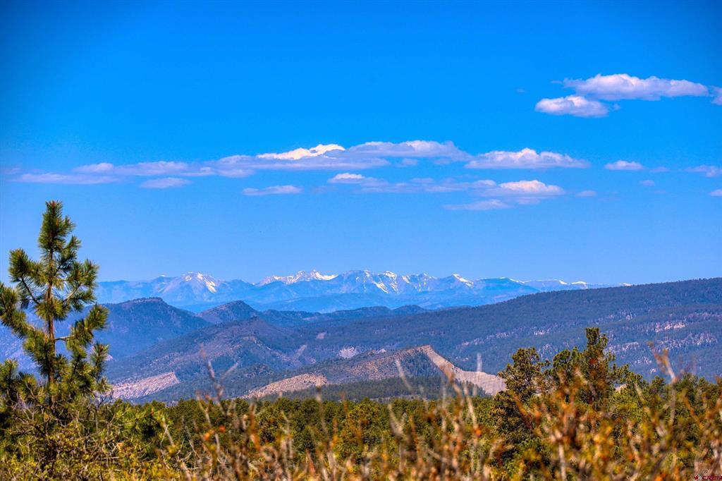 3367 Ranchland Drive Pagosa Springs CO 81147