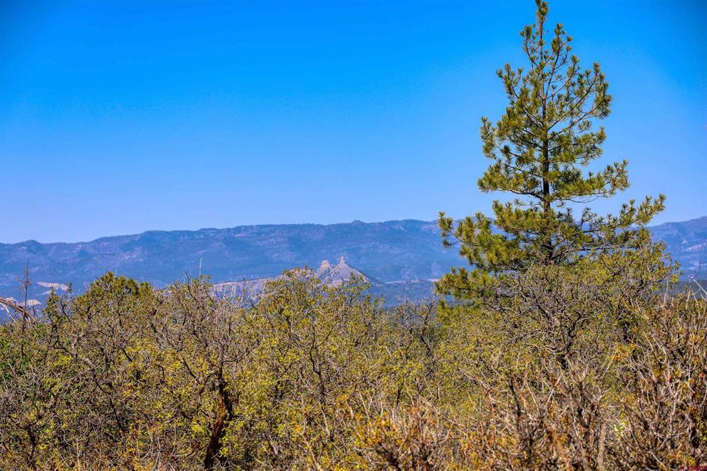 3367 Ranchland Drive Pagosa Springs CO 81147