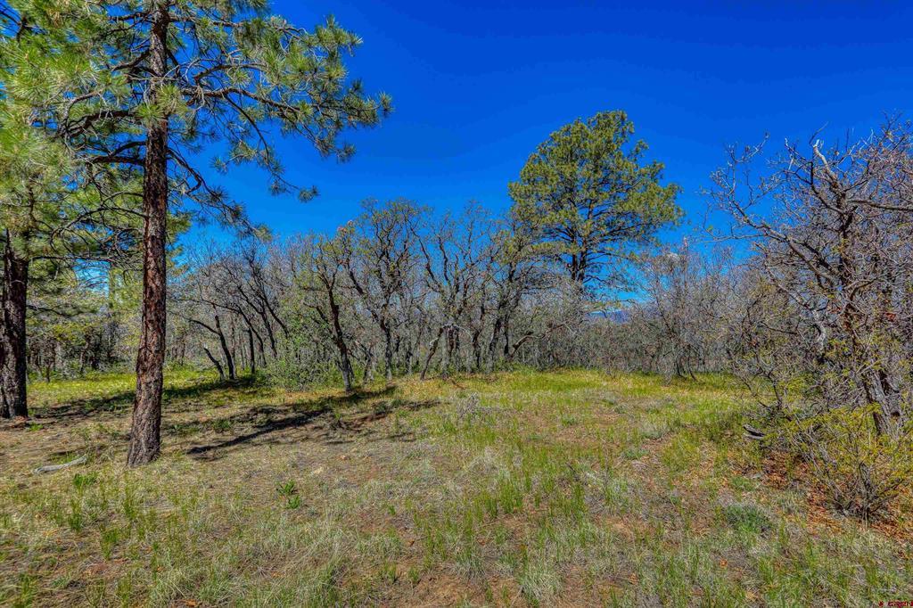 3367 Ranchland Drive Pagosa Springs CO 81147