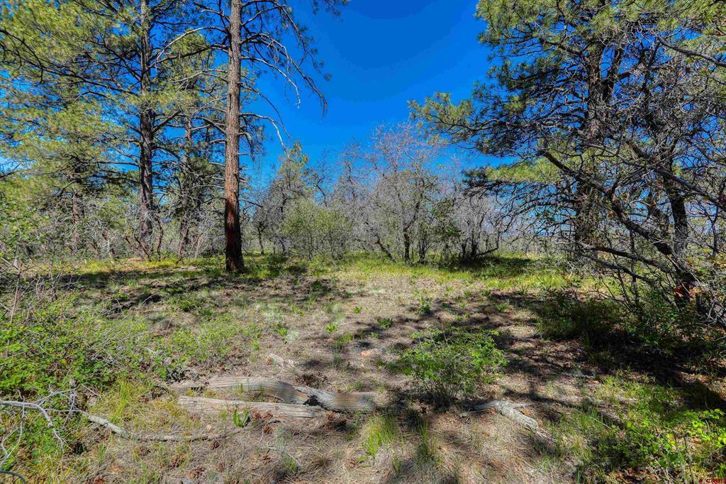 3367 Ranchland Drive Pagosa Springs CO 81147