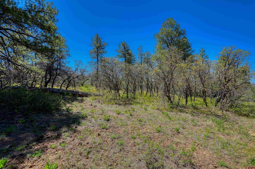 3367 Ranchland Drive Pagosa Springs CO 81147