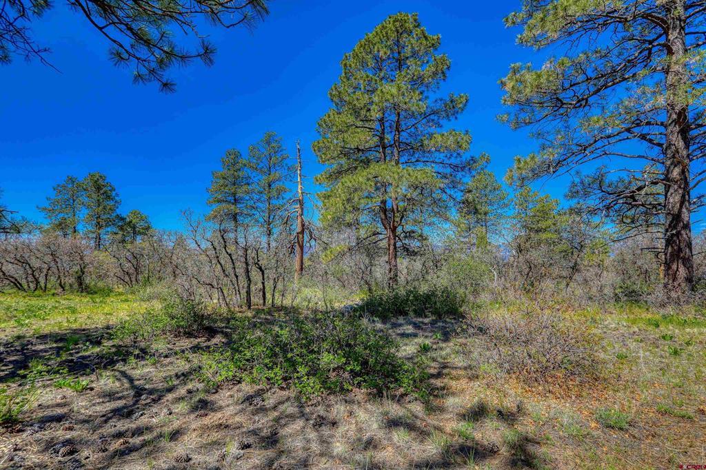 3367 Ranchland Drive Pagosa Springs CO 81147