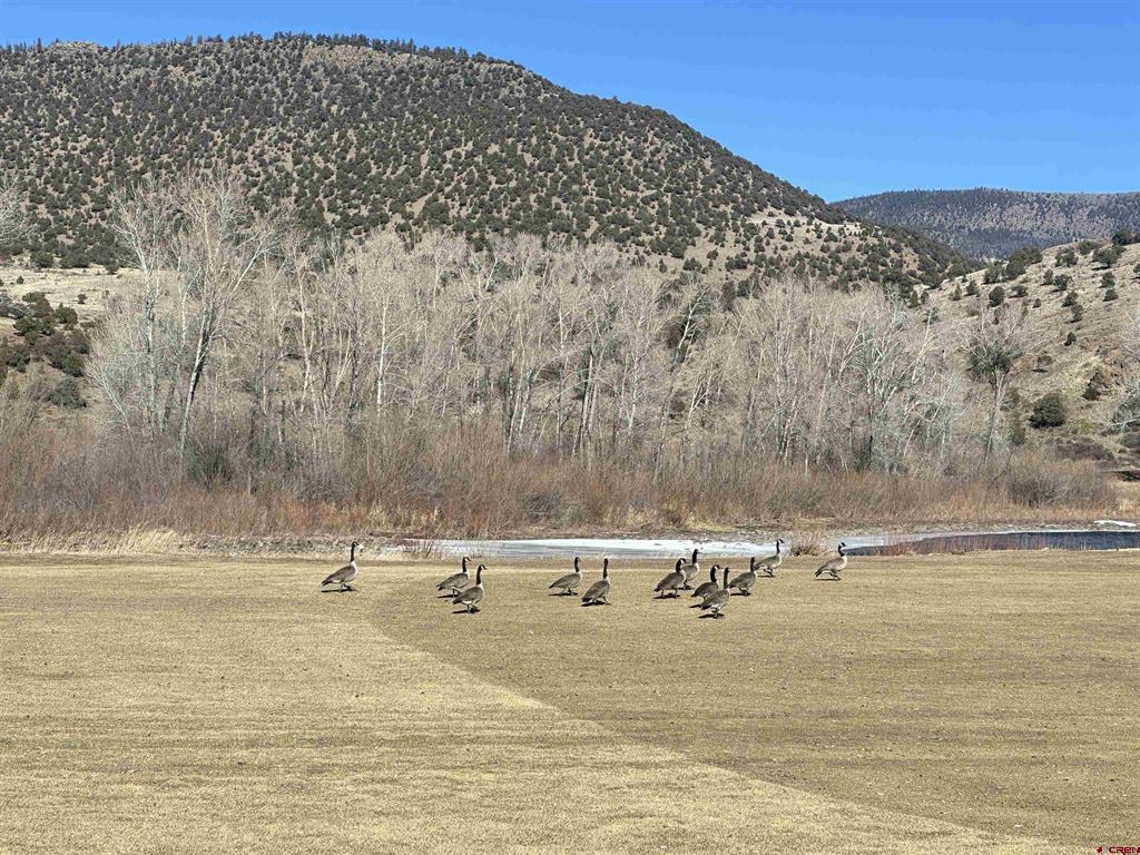 160 Riverside Court South Fork CO 81154