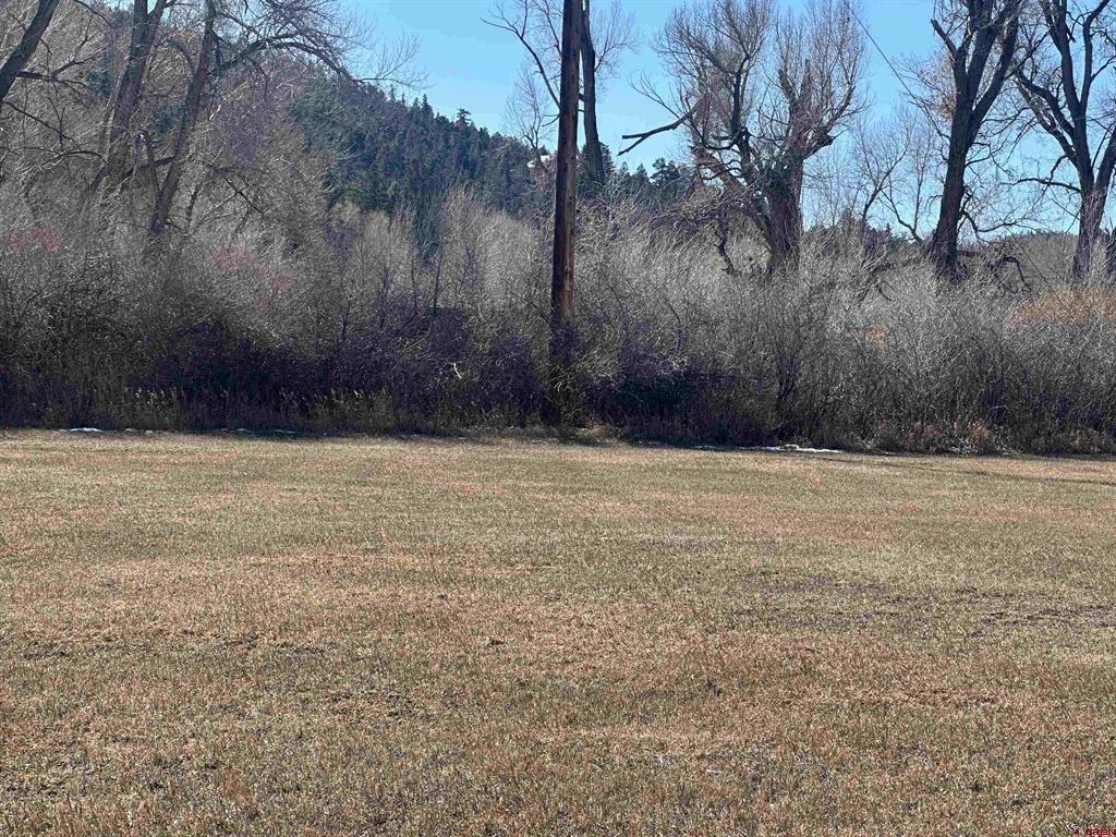 160 Riverside Court South Fork CO 81154