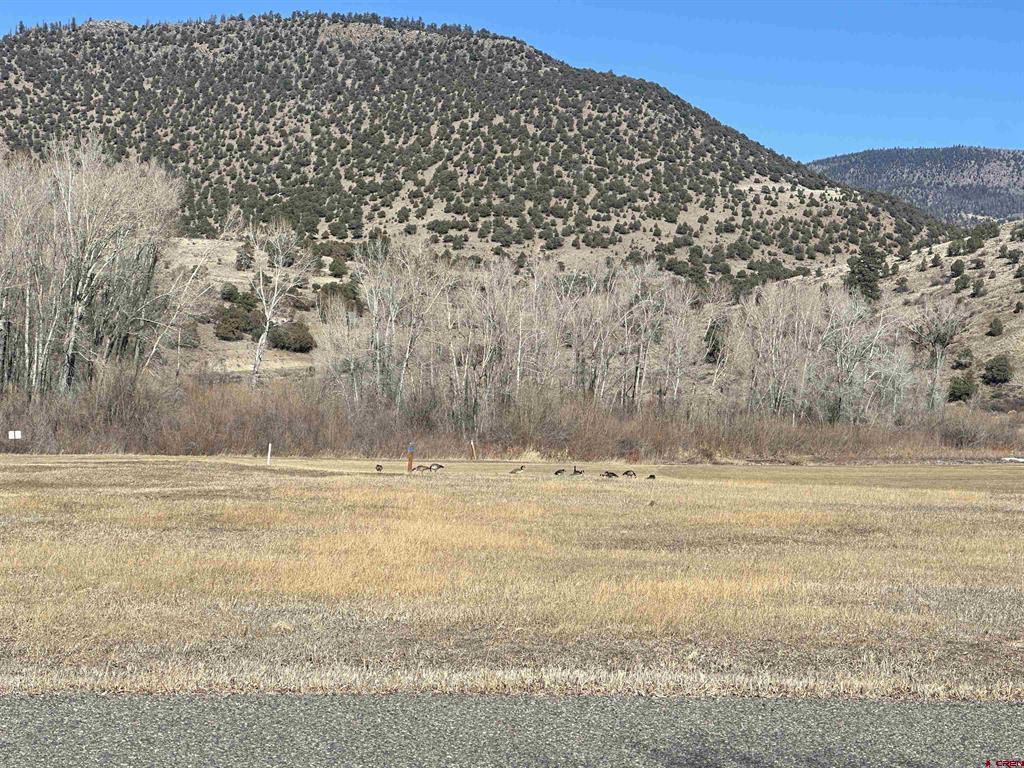 160 Riverside Court South Fork CO 81154