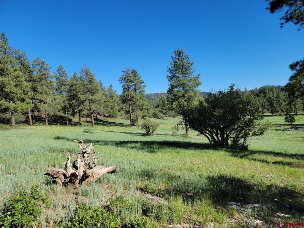 X Catchpole Drive Pagosa Springs CO 81147