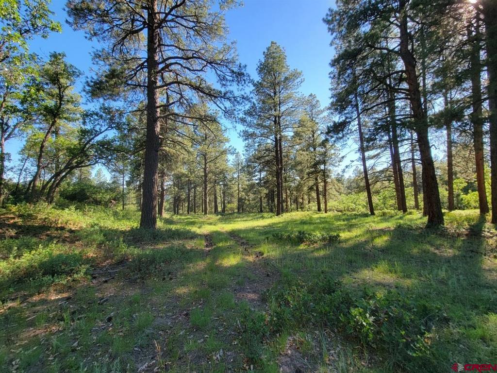 X Catchpole Drive Pagosa Springs CO 81147