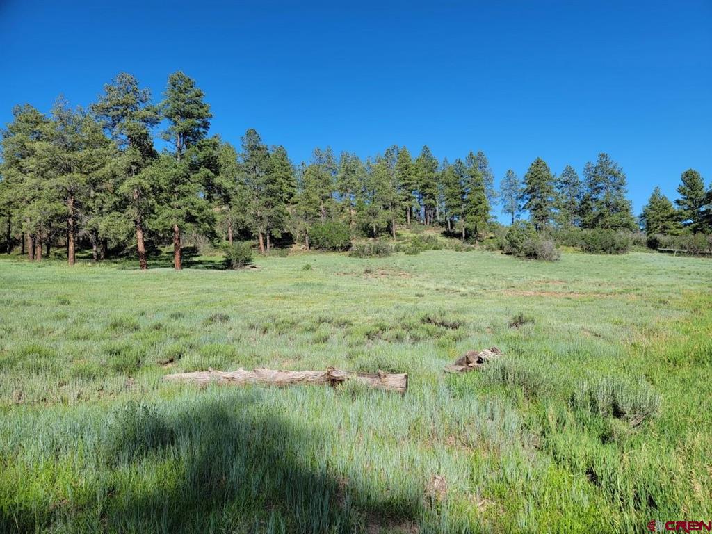 X Catchpole Drive Pagosa Springs CO 81147