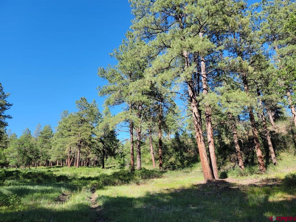 X Catchpole Drive Pagosa Springs CO 81147
