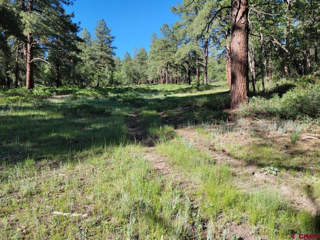 X Catchpole Drive Pagosa Springs CO 81147