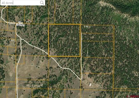X Catchpole Pagosa Springs CO 81147