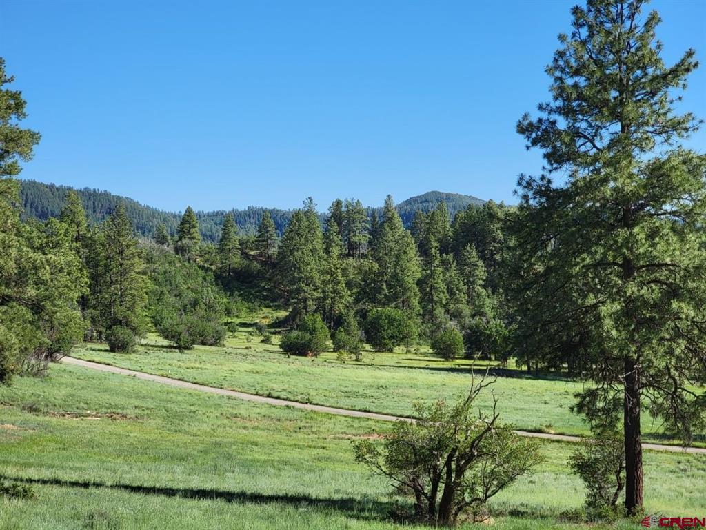 X Catchpole Drive Pagosa Springs CO 81147