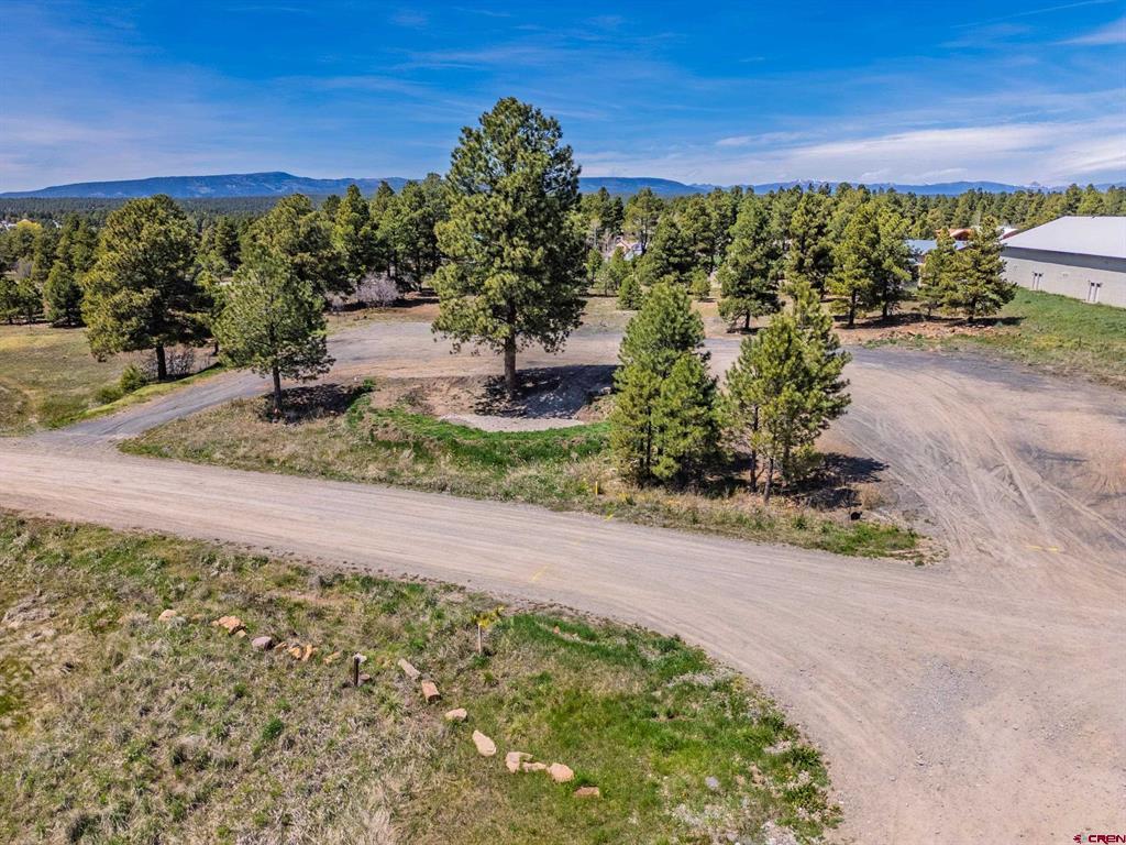 555 Bastille Drive Pagosa Springs CO 81147
