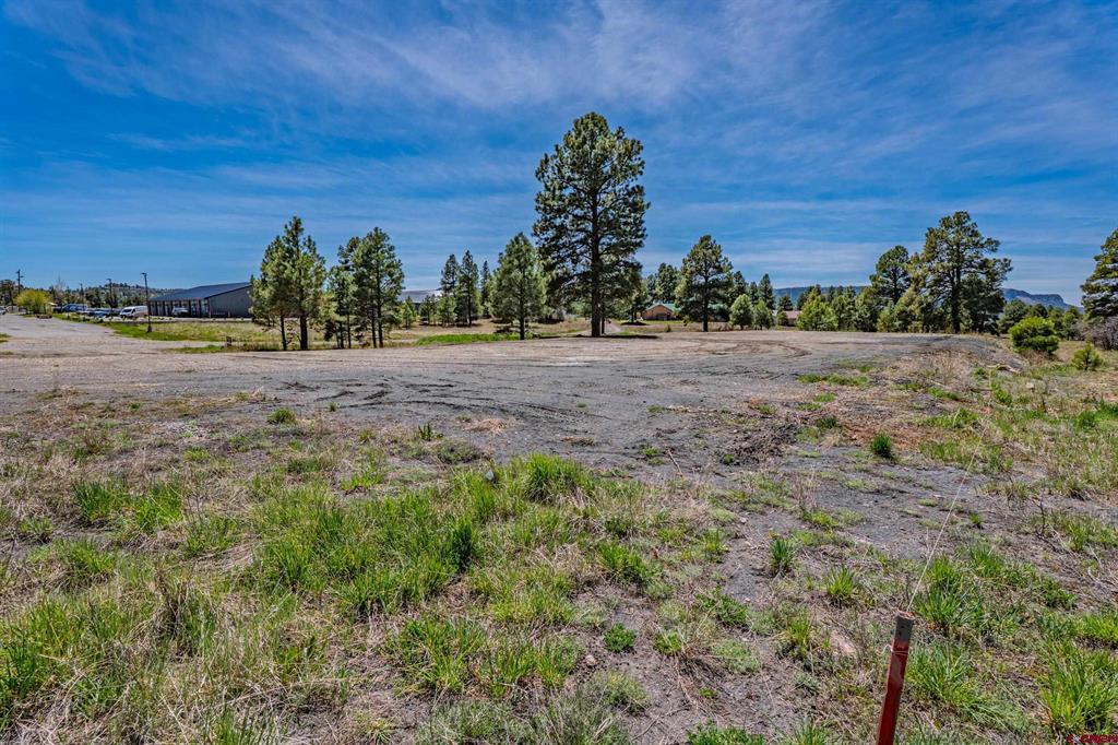555 Bastille Drive Pagosa Springs CO 81147