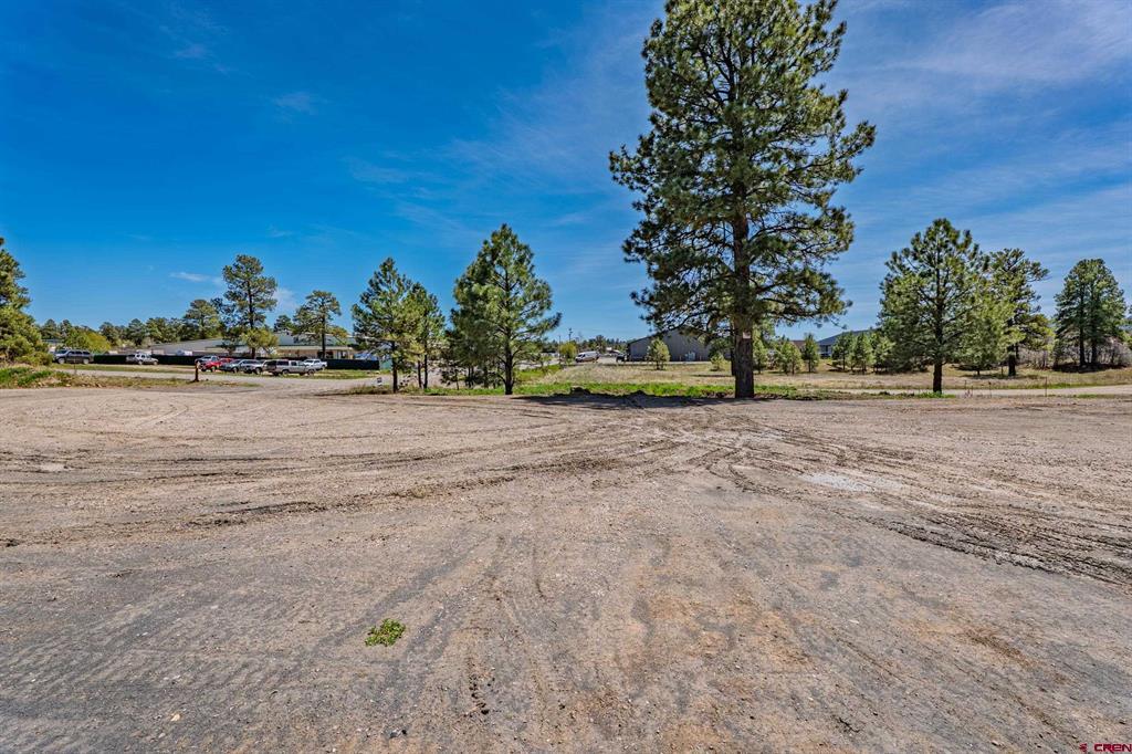 555 Bastille Drive Pagosa Springs CO 81147