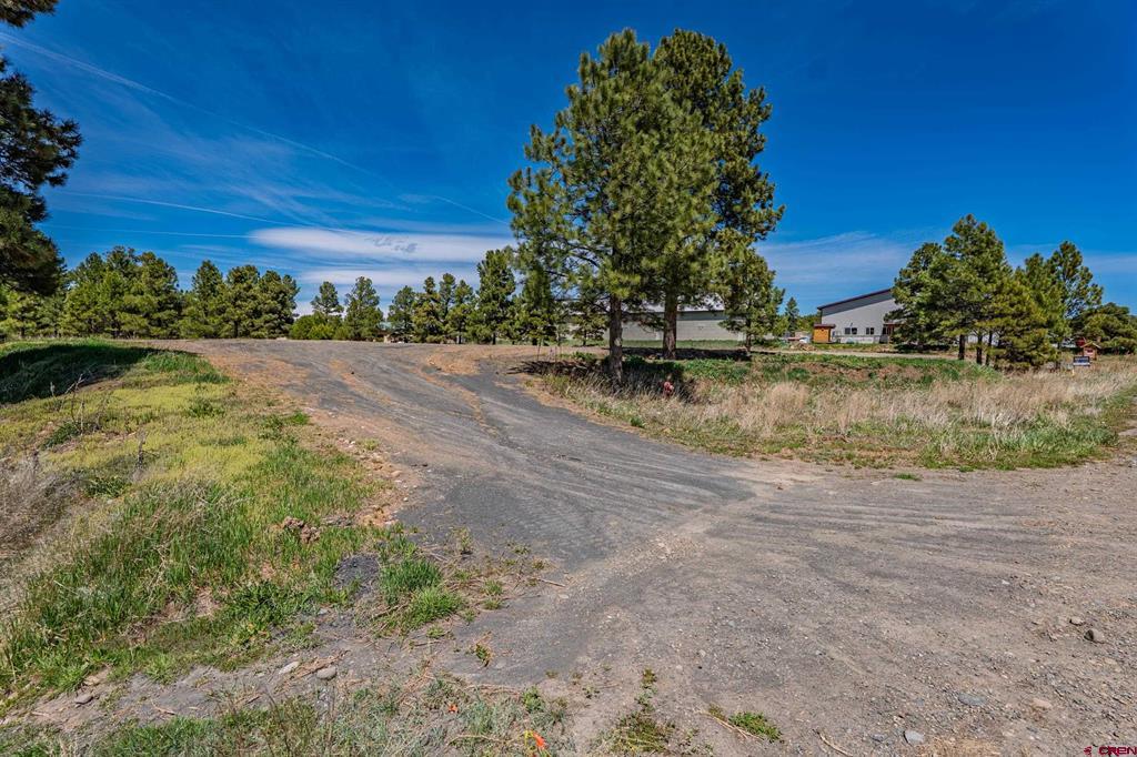 555 Bastille Drive Pagosa Springs CO 81147