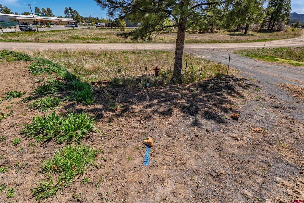 555 Bastille Drive Pagosa Springs CO 81147
