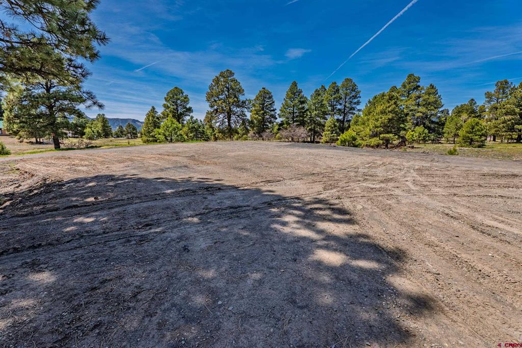 555 Bastille Drive Pagosa Springs CO 81147