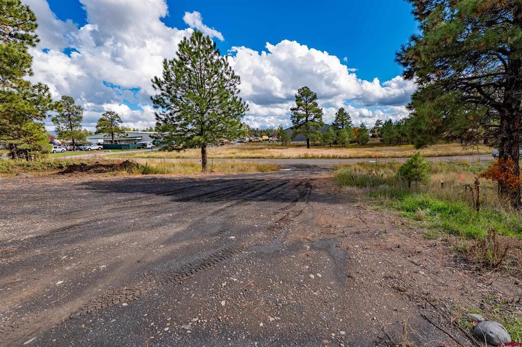 555 Bastille Drive Pagosa Springs CO 81147