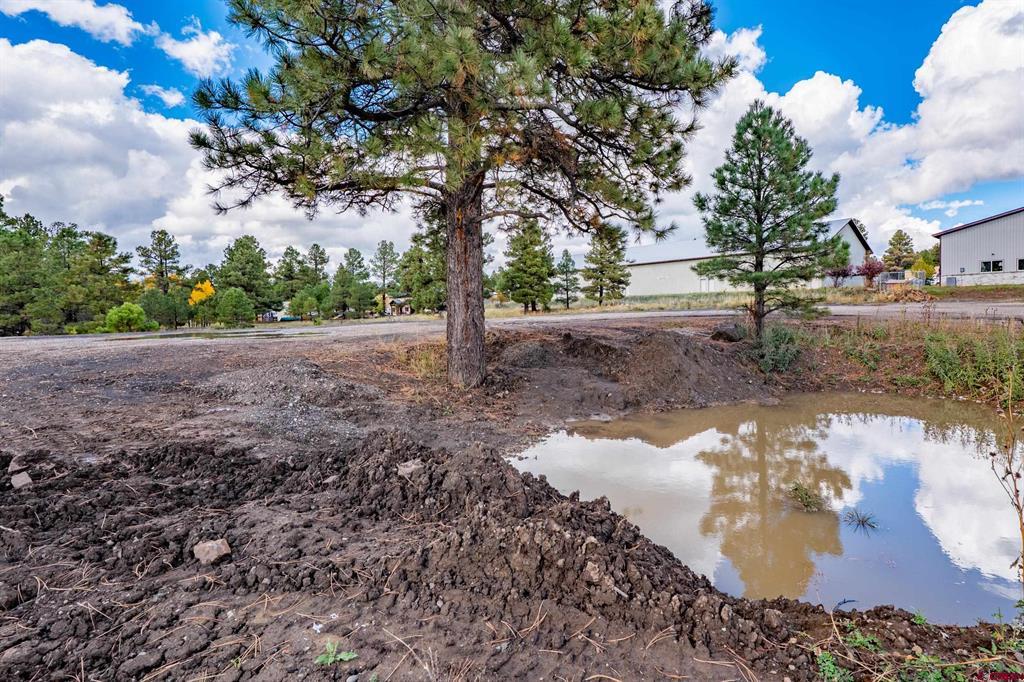 555 Bastille Drive Pagosa Springs CO 81147