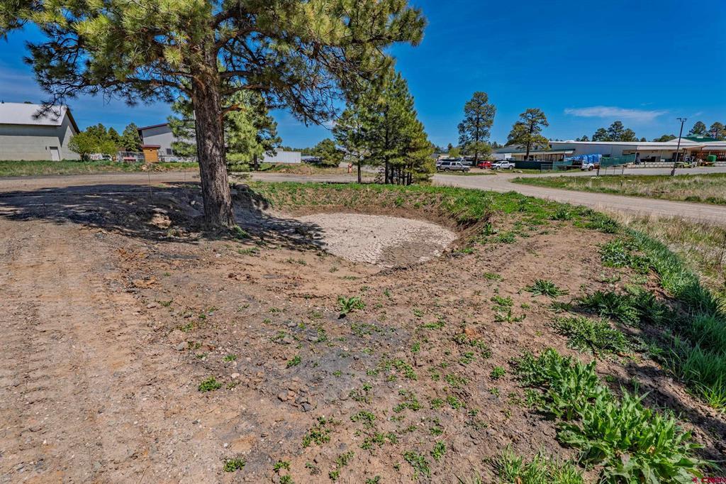 555 Bastille Drive Pagosa Springs CO 81147