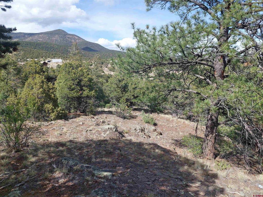 275 Wild Horse Trail South Fork CO 81154
