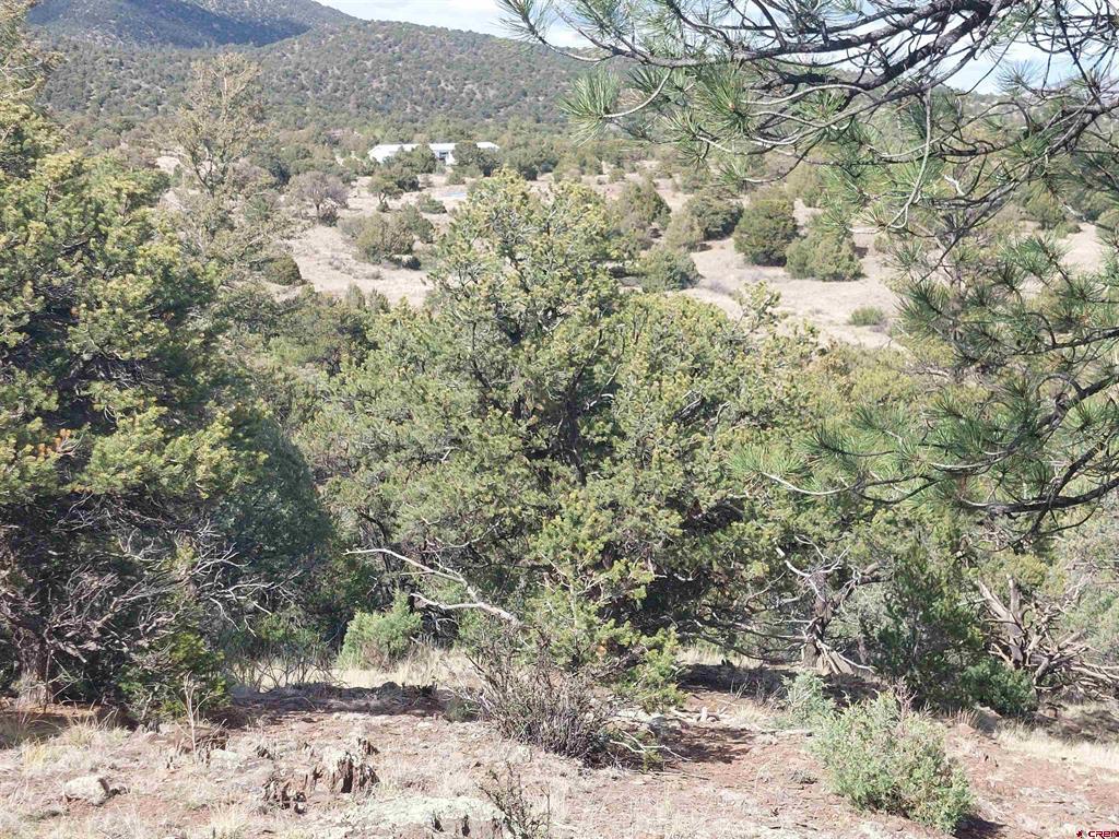 275 Wild Horse Trail South Fork CO 81154