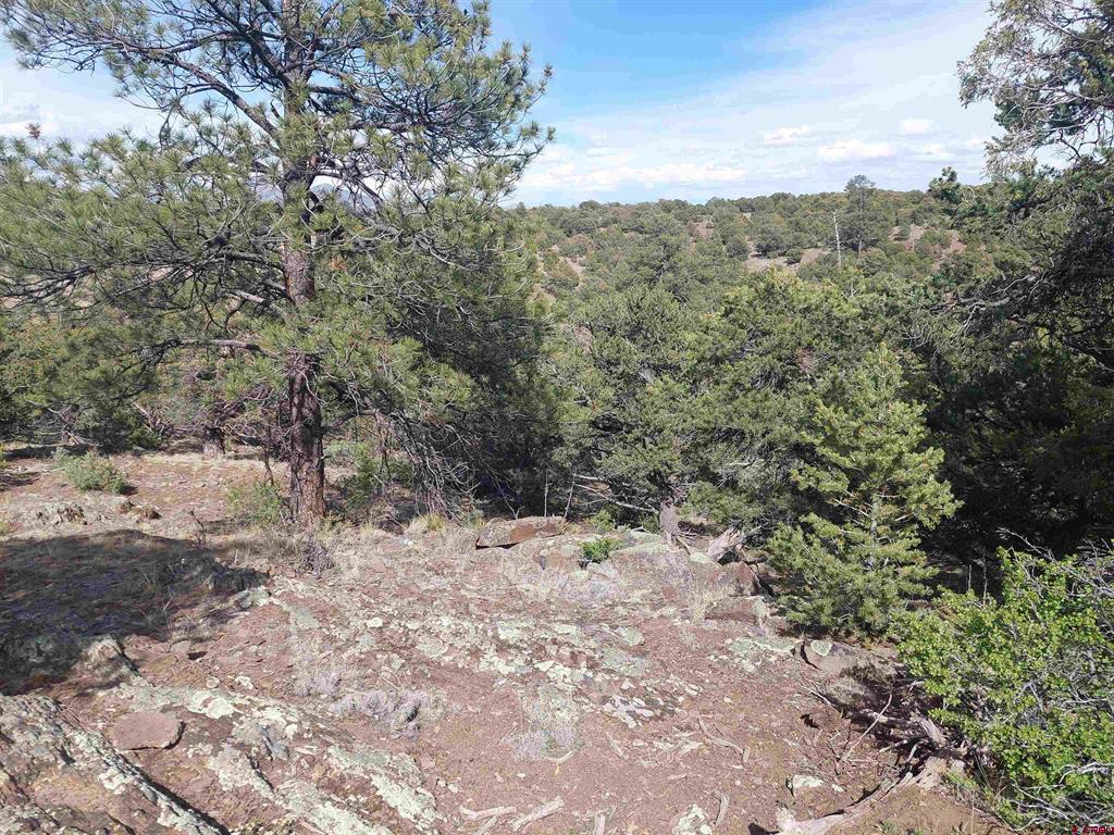 275 Wild Horse Trail South Fork CO 81154