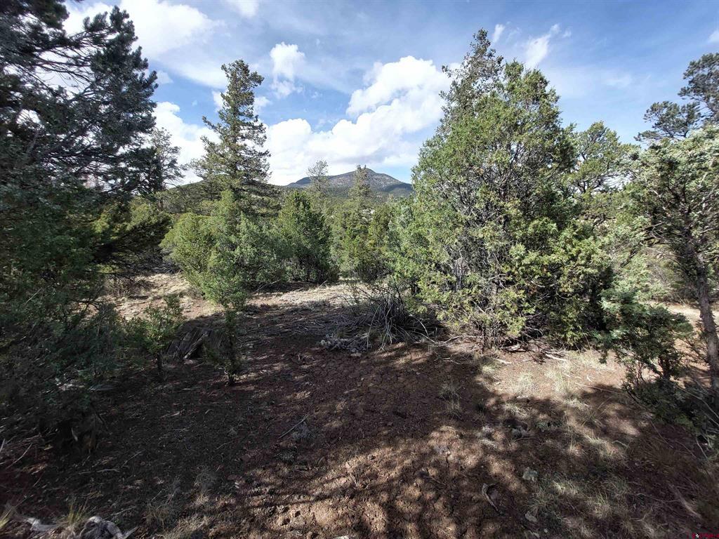 275 Wild Horse Trail South Fork CO 81154