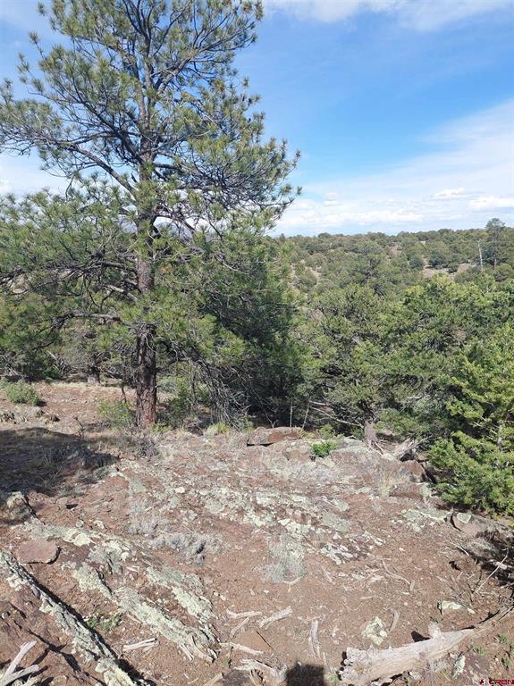 275 Wild Horse Trail South Fork CO 81154