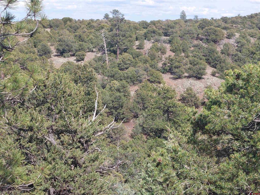 275 Wild Horse Trail South Fork CO 81154