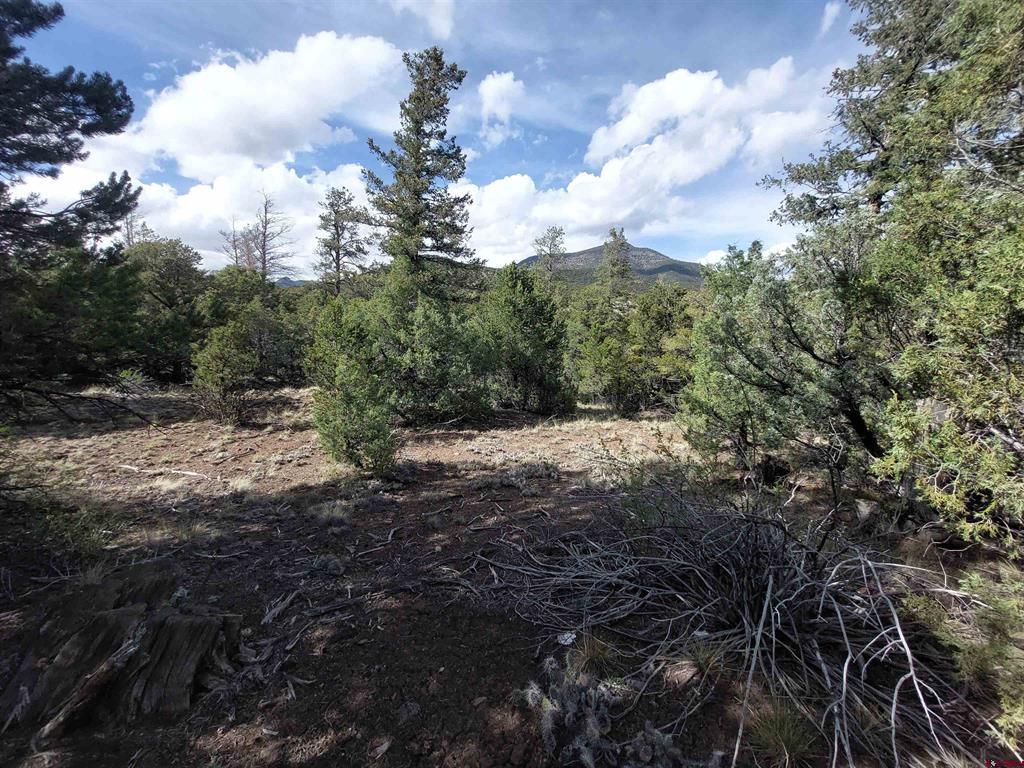 275 Wild Horse Trail South Fork CO 81154