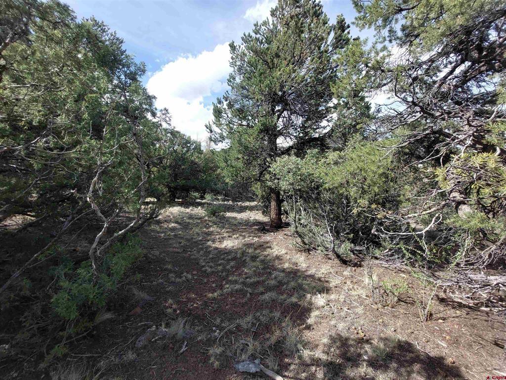 275 Wild Horse Trail South Fork CO 81154