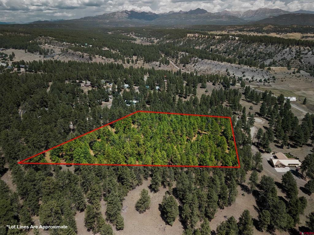 Pagosa Springs CO, X Bienvenido