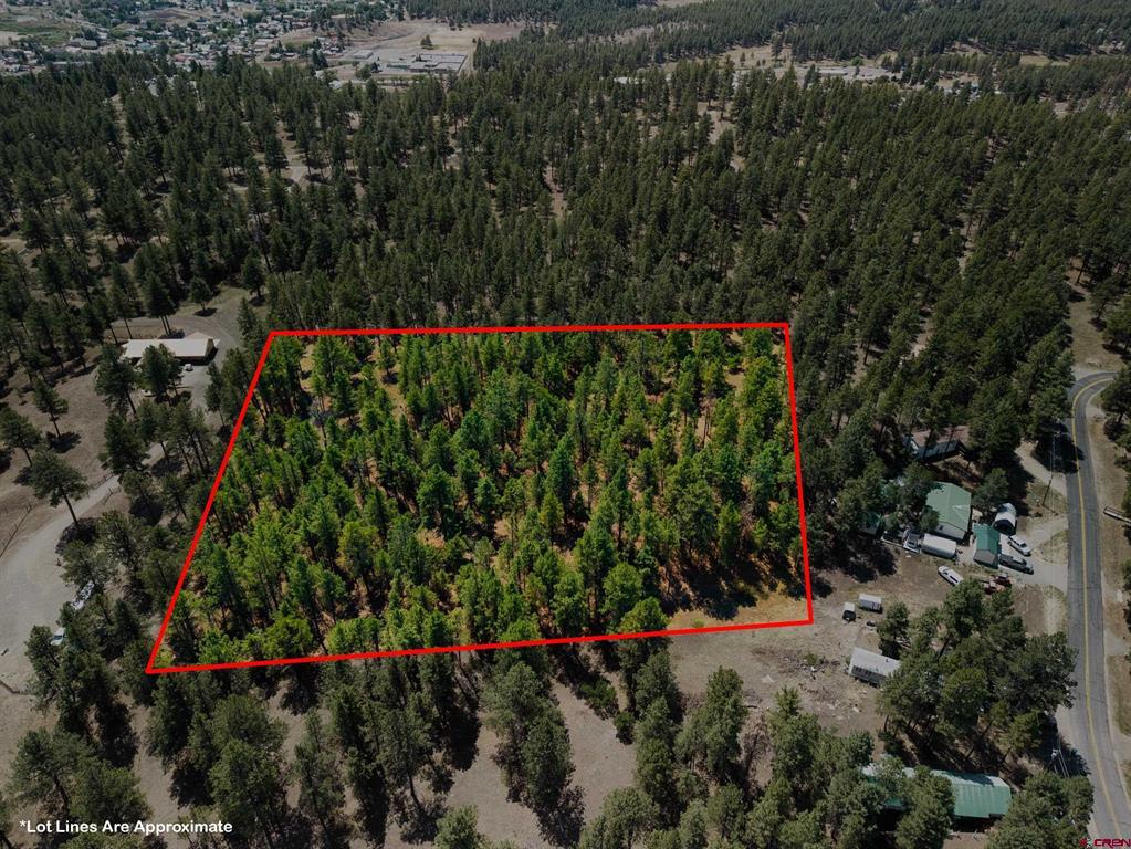 X Bienvenido Circle Pagosa Springs CO 81147