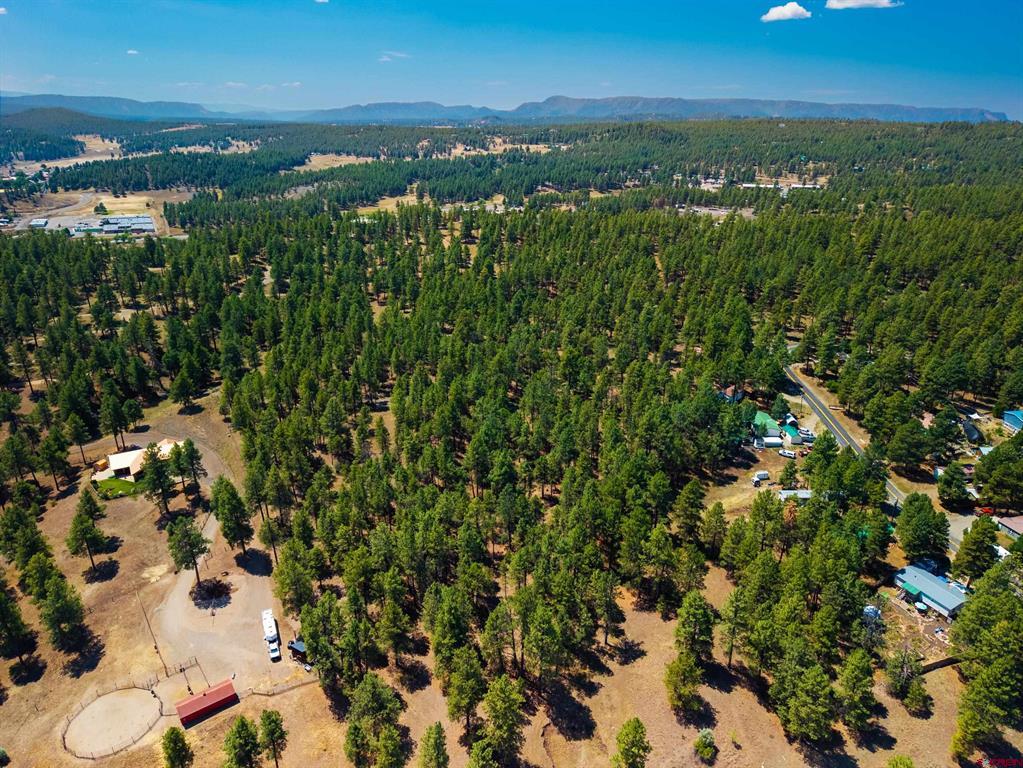 X Bienvenido Circle Pagosa Springs CO 81147