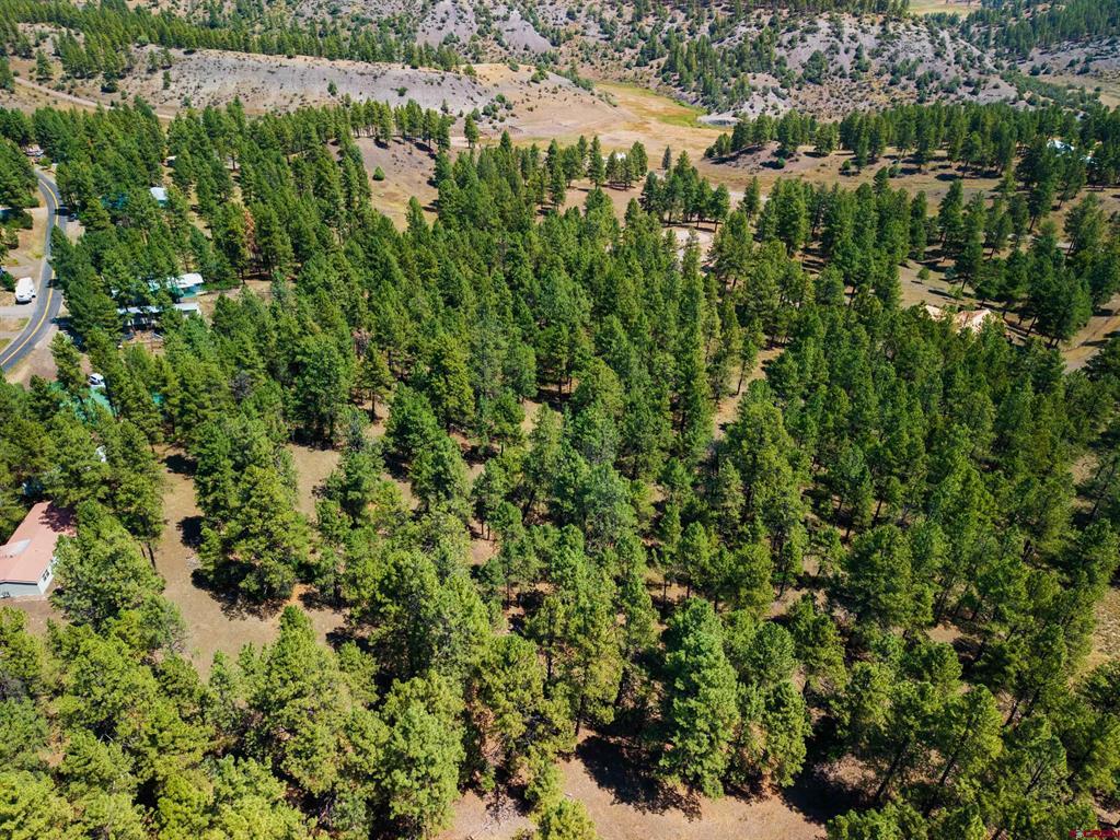X Bienvenido Circle Pagosa Springs CO 81147